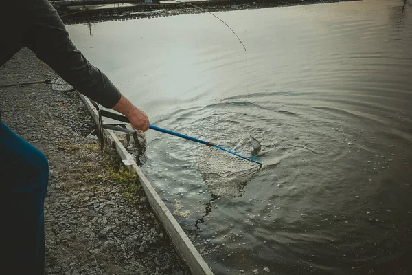 Pesca Alla Trota Sul Lago Attività Ricreative Pesca — Foto Stock