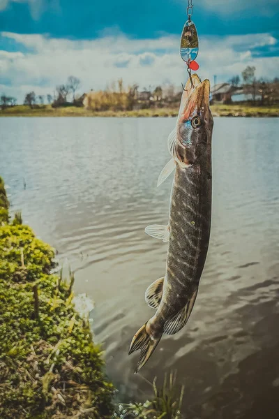 Pesca Descanso Rural Contexto Sobre Tema Recreación —  Fotos de Stock