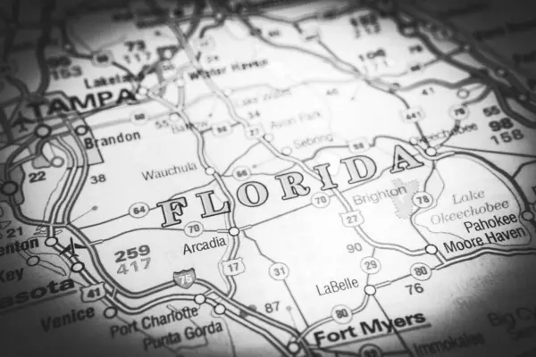 Florida Estado Mapa Fondo —  Fotos de Stock