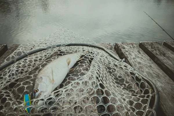 Pesca Lúcio Lago — Fotografia de Stock