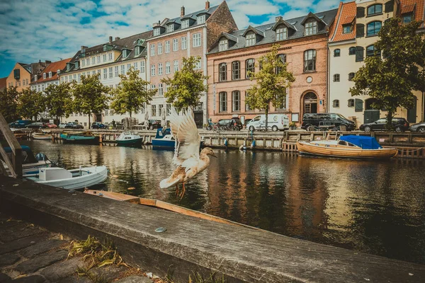 Copenhaga Dinamarca Julho 2019 Famoso Christianshavn Com Edifícios Coloridos Barcos — Fotografia de Stock