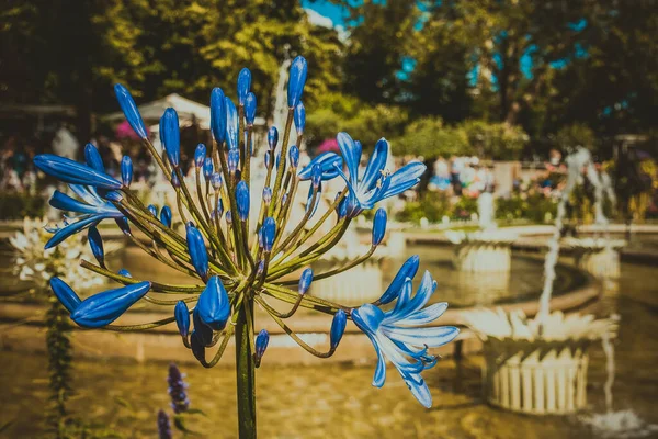 Krásný Park Zahrada Kodani Atrakce — Stock fotografie