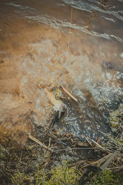 Rybaření Venkovský Odpočinek Pozadí Tématu Rekreace — Stock fotografie