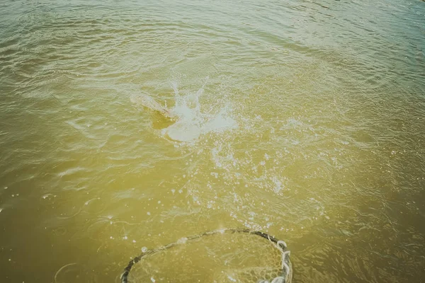 Pesca Alla Trota Nel Lago Pesca Ricreazione — Foto Stock