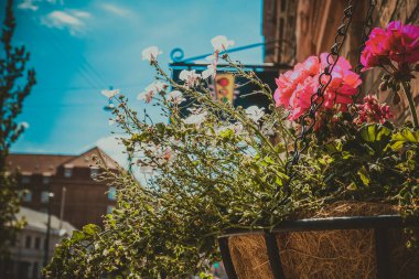 Kopenhag, Danimarka - 15 Temmuz 2019. Kopenhag sokakları, Danimarka