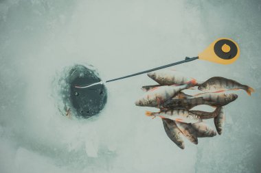 Kış Buzu balıkçılık geçmişi
