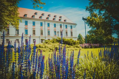Wroclaw 'ın güzel kiliseleri. Çekicilik, Avrupa 'da seyahat