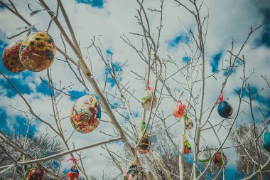 Paskalya yumurtaları ahşap dallar üzerinde Paskalya teması