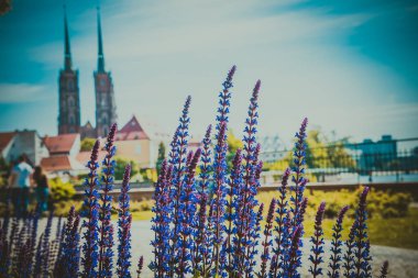 Wroclaw 'ın güzel kiliseleri. Çekicilik, Avrupa 'da seyahat