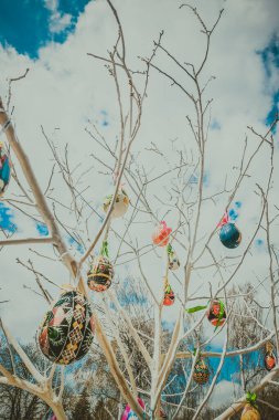 Paskalya yumurtaları ahşap dallar üzerinde Paskalya teması