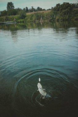 Gölde balık avlamak. Balıkçılık eğlencesi