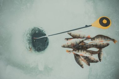 Kış Buzu balıkçılık geçmişi