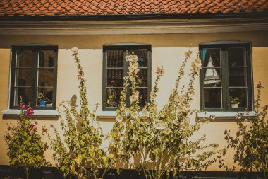 Resimli bir köyde güzel bir Danimarka mimarisi