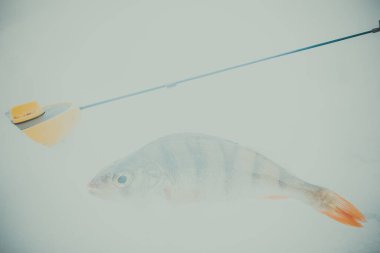 Kış Buzu balıkçılık geçmişi