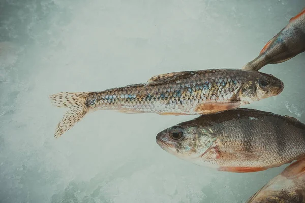 Vinterisfiske Bakgrund — Stockfoto