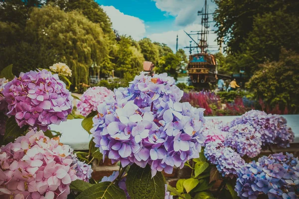 Vacker Grön Park Köpenhamn — Stockfoto