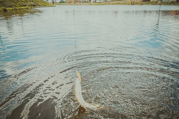 Pesca Descanso Rural Antecedentes Sobre Tema Recreação — Fotografia de Stock