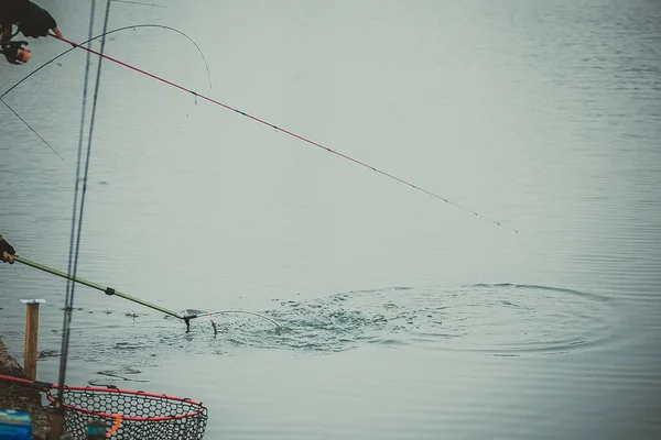 Pêche Truite Sur Lac — Photo