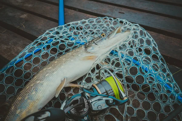 Fiske Utomhus Rekreation Sjön Bakgrund — Stockfoto