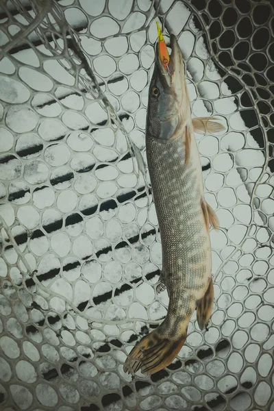 Рыбалка Озере Рыболовный Отдых — стоковое фото
