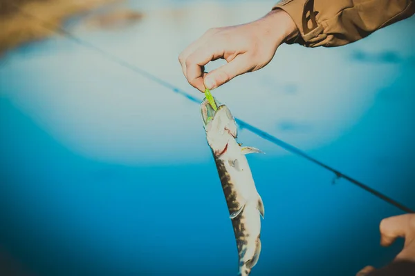 Pesca Del Luccio Sul Lago Attività Ricreative Pesca — Foto Stock