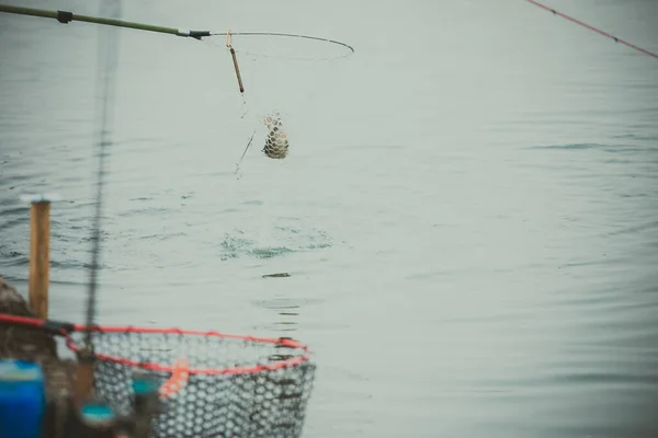 Pesca Alla Trota Sul Lago — Foto Stock