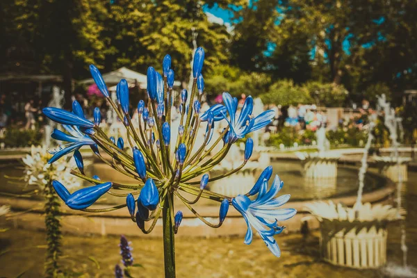 Vacker Park Och Trädgård Köpenhamn Attraktioner — Stockfoto