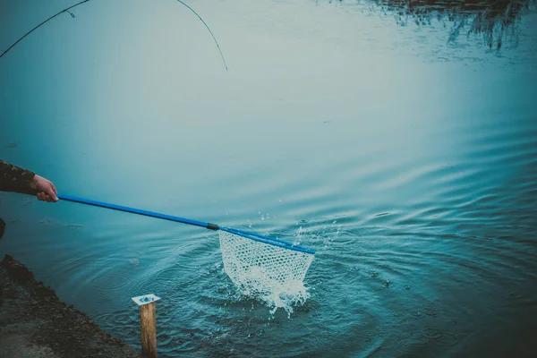 Pesca Truchas Lago — Foto de Stock