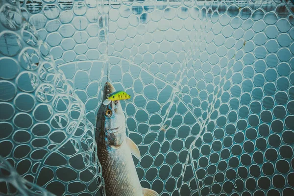 Pesca Ricreazione All Aperto Sfondo Lago — Foto Stock