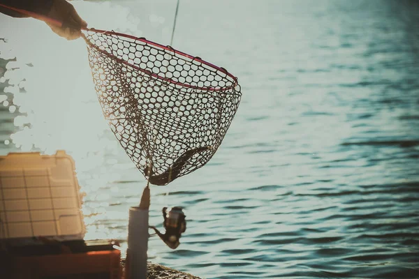 湖でのマス釣り — ストック写真