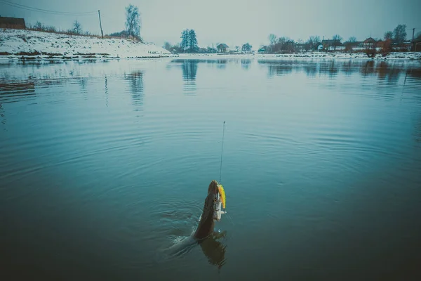 Rybaření Sportovní Rekreace Pozadí — Stock fotografie