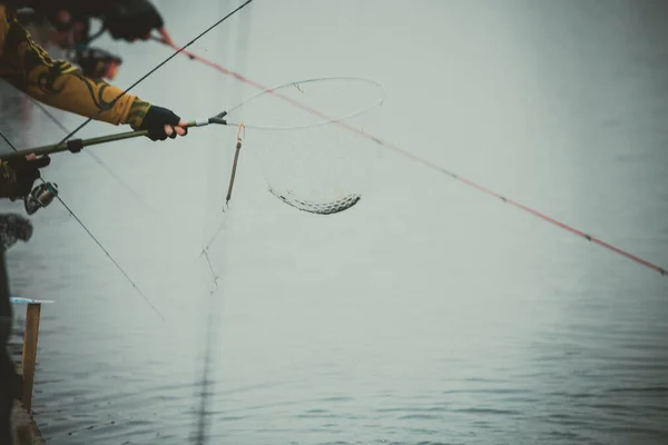 Pesca Truchas Lago —  Fotos de Stock