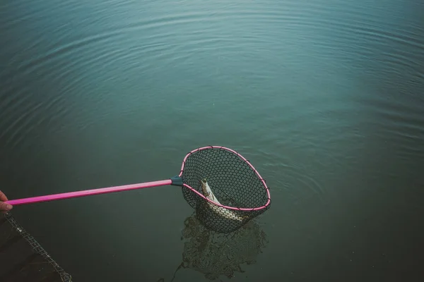 Pesca Lúcio Lago — Fotografia de Stock