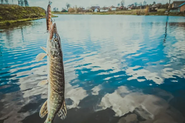 Pesca Descanso Rural Antecedentes Sobre Tema Recreação — Fotografia de Stock