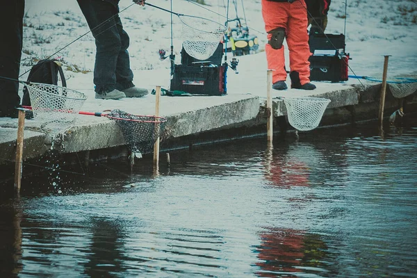 Łowienie Pstrągów Jeziorze Rekreacja Połowowa — Zdjęcie stockowe
