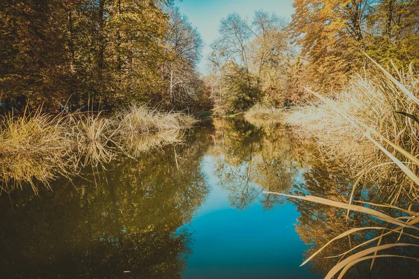 Güzel Bir Tarihi Parkta Muhteşem Bir Sonbahar — Stok fotoğraf