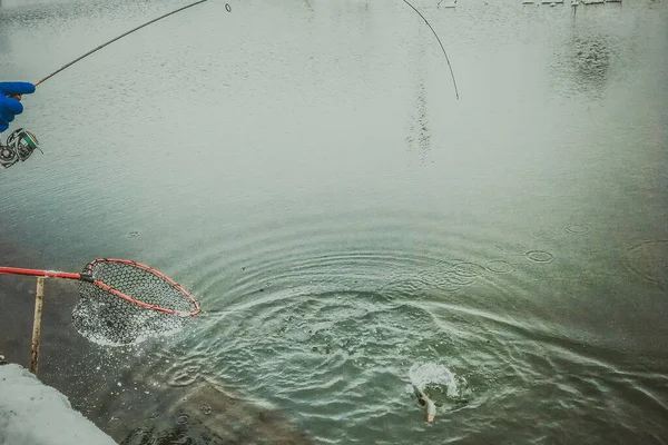 在湖上钓鳟鱼 — 图库照片