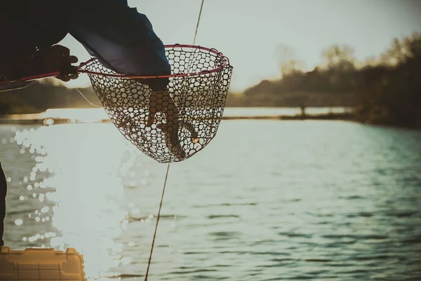 Pêche Truite Sur Lac — Photo