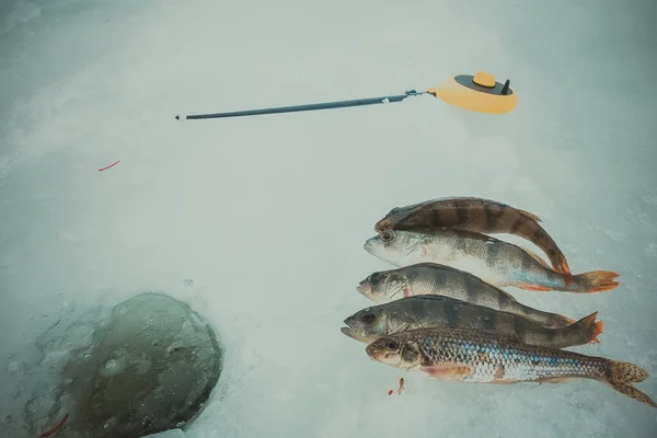 Winter Ice Fishing Background — Stock Photo, Image