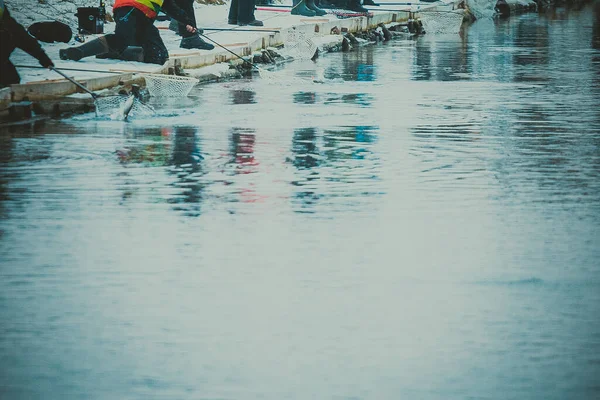 Pesca Truchas Lago Recreo Pesca —  Fotos de Stock