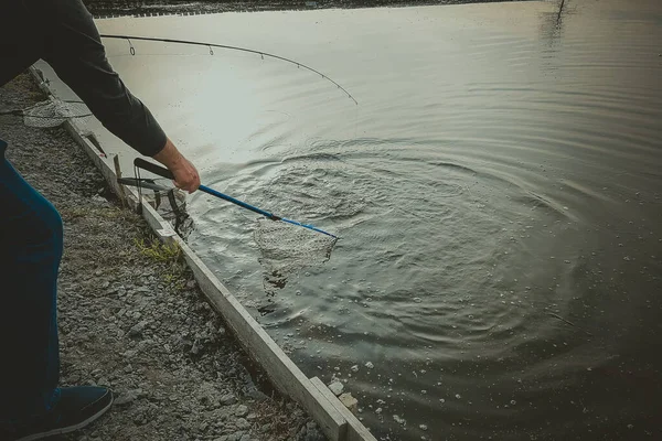 Hechtangeln Auf Dem See Freizeitfischerei — Stockfoto