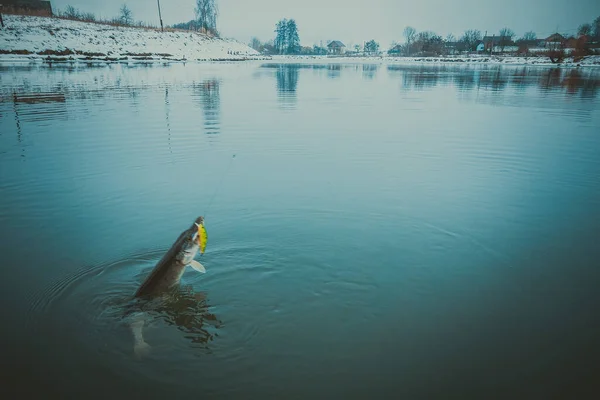 Pêche Sport Loisirs Fond — Photo