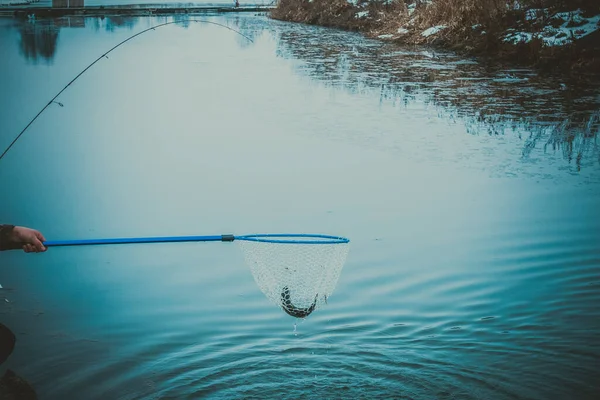 Forel Vissen Het Meer — Stockfoto