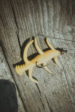 Gölde alabalık avı, balık tutma, dinlenme