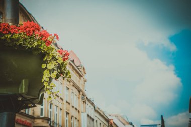 Wroclaw, Polonya - 15 Haziran 2019 Wroclaw Evleri ve Wroclaw şehrinin sokakları. Şehir manzarası