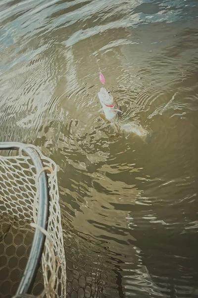 Pesca Alla Trota Nel Lago Pesca Ricreazione — Foto Stock