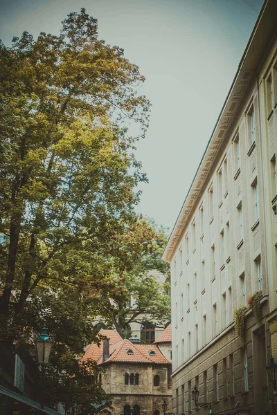 Ruas Bonitas Arquitetura Outono Praga — Fotografia de Stock