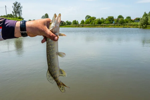 Pesca Lago Fondo Pesca — Foto de Stock