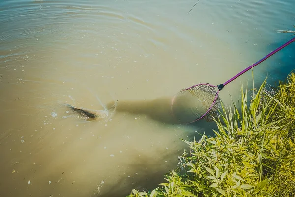 Pêche Dans Lac Nature Loisirs Fond — Photo