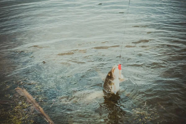 Pesca Sport Ricreazione Sfondo — Foto Stock